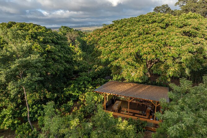 Kamananui Cacao Orchard Tour - Traveler Recommendations