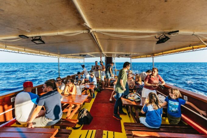 Kamenjak/Medulin: Sunset Dolphin Boat Tour With Dinner - Chance of Dolphin Sightings