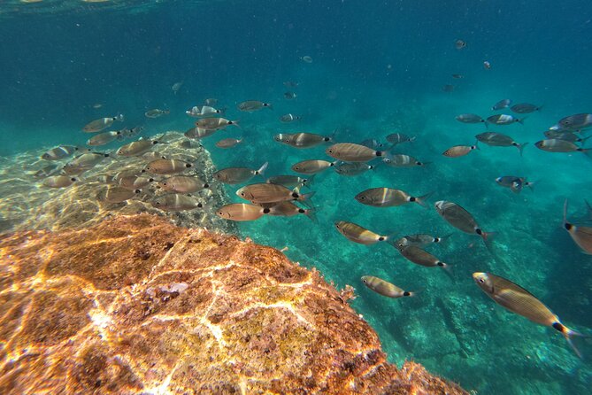 Kamenjak Nature Park: Kayak Tour With Snorkeling & Cave Exploring - Tour Highlights and Experiences