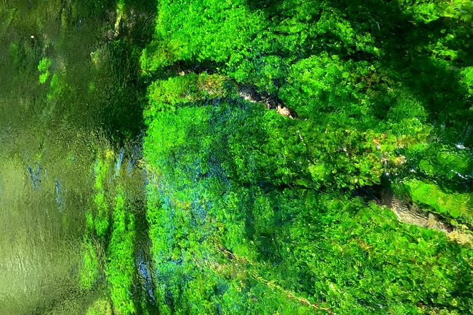 Kamikochi Feel Nature and Hiking 1 Day Trip (Near Takayama) - Arrival at Hirayu Onsen