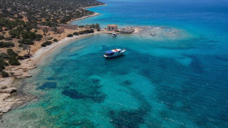 Kamiros Skala: Marine Life Experience & Alimia Island - Key Points