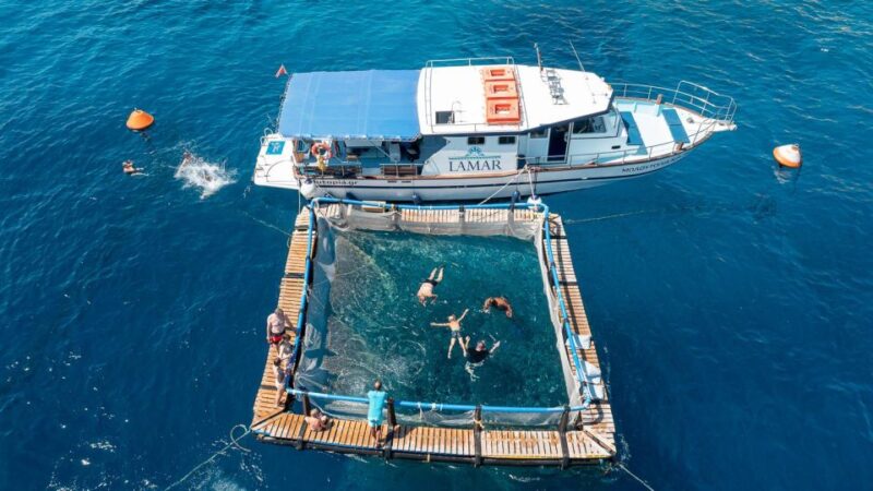 Kamiros Skala: Marine Life Experience & Alimia Island - Arrival at Alimia Island