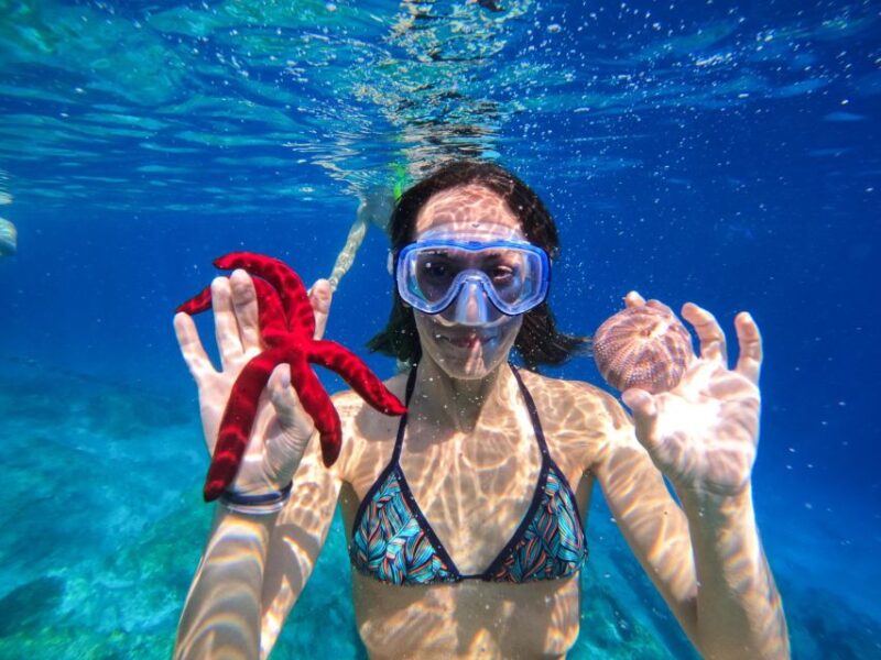 Kamiros Skala: Marine Life Experience & Alimia Island - Exploring Alimias Crystal-Clear Waters