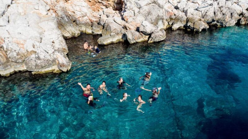 Kamiros Skala: Marine Life Experience by Boat - Key Points