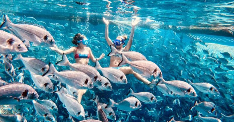 Kamiros Skala: Marine Life Experience by Boat - Swimming Amidst Thousands of Fish