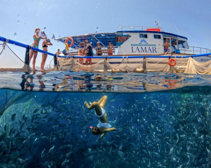 Kamiros Skala: Marine Life Experience by Boat - Frequently Asked Questions
