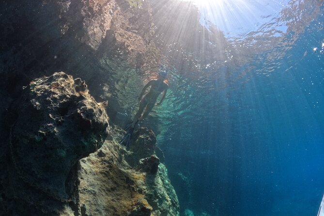 Kamiros Skala: Marine Life Experience - Overview of the Experience