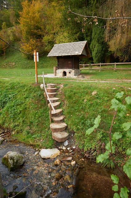 Kamnik: Kneipp Barefoot Experience - Benefits of Barefoot Walking