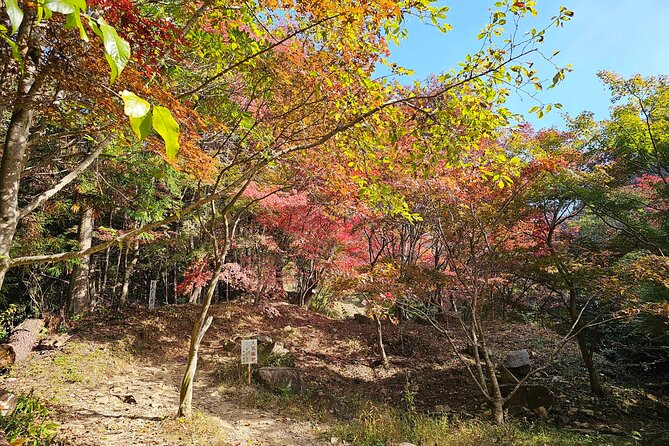 KAMOSU TABI The Sake Capital Saijo Wellness Tour - Tour Details