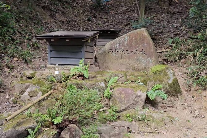KAMOSU TABI The Sake Capital Saijo Wellness Tour - Why Choose This Tour?