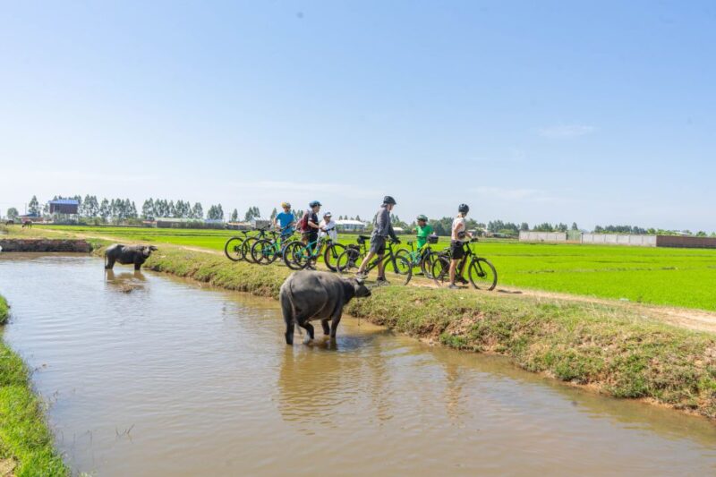 Kampong Phluk: Floating Village Bike Tour and Sunset Cruise - Experience Highlights