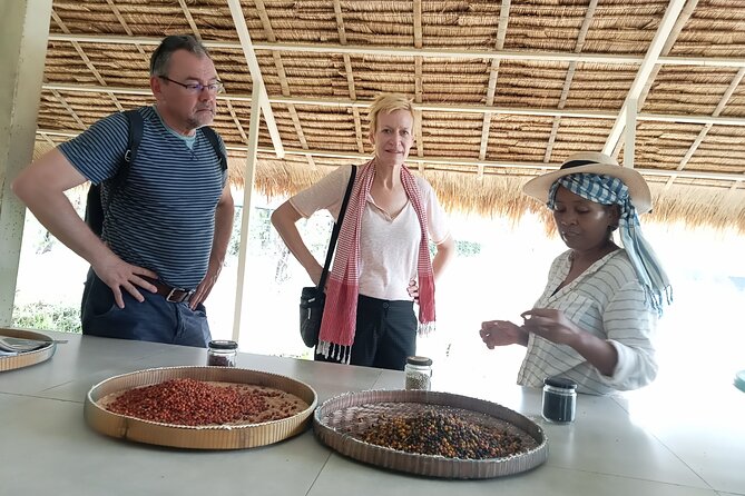 Kampot/Cambodia Pepper Farm Tour - Availability