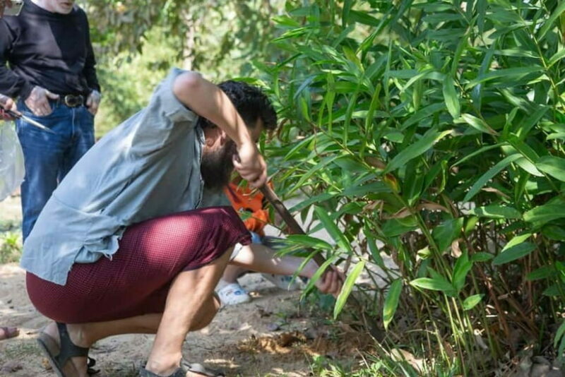 Kampot Countryside: Authentic Khmer Cooking Class - Who Would Love This Tour?