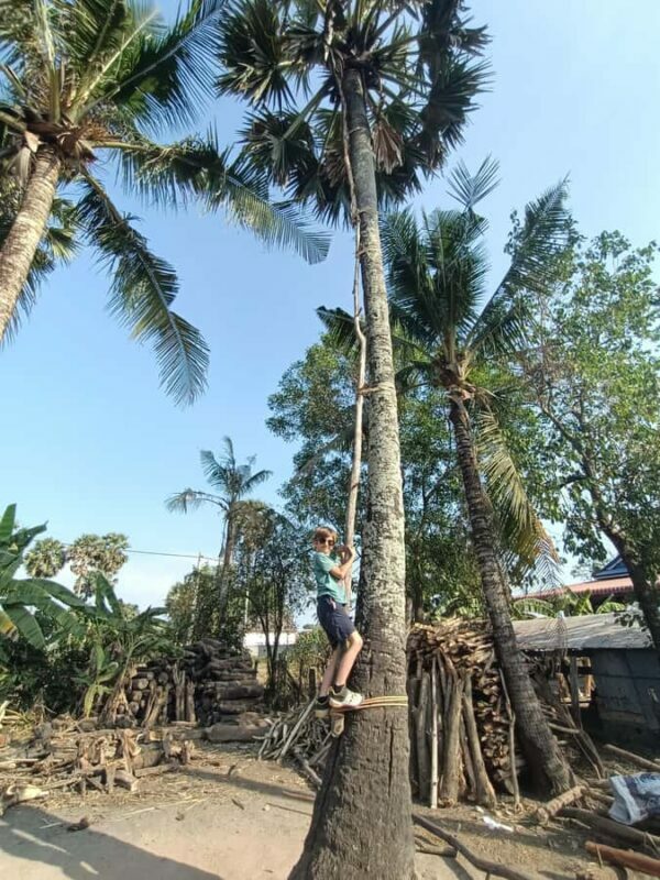 Kampot Countryside include Pepper farm, Salt field & Lake - Why This Tour Works Well for Certain Travelers