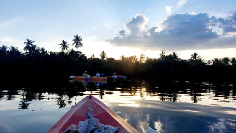 Kampot Countryside, Pepper Farm and Kayak Tour Include Lunch - Customer Reviews and Feedback
