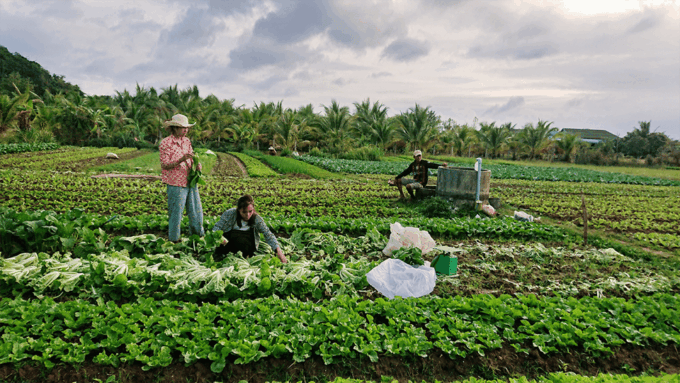 Kampot Countryside Tours - Exploring Salt Fields