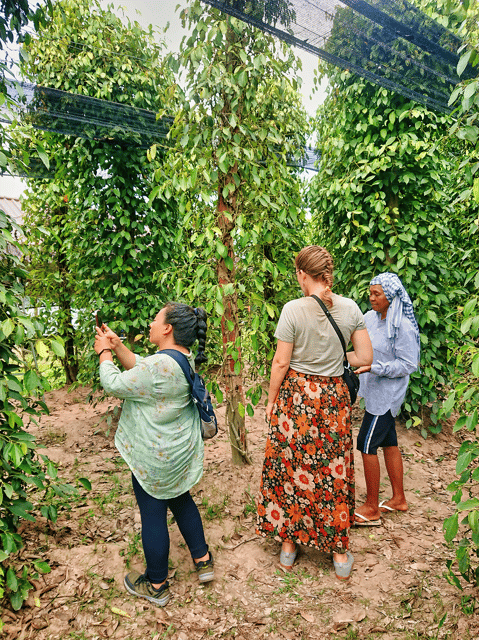Kampot Countryside Tours - Phnom Chhngok Cave Tour