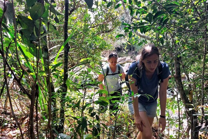 Kampot Day Tour Bokor National Park - Sights and Attractions