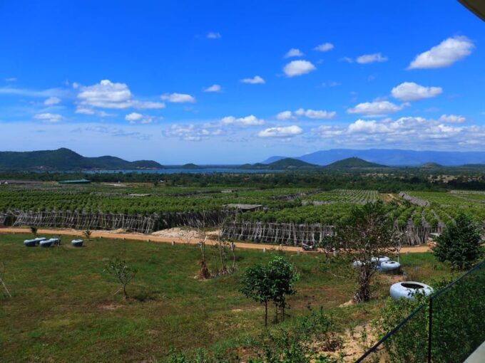 Kampot Day Trip to Pepper Farm, Temple and Salt Field , Etc - Frequently Asked Questions
