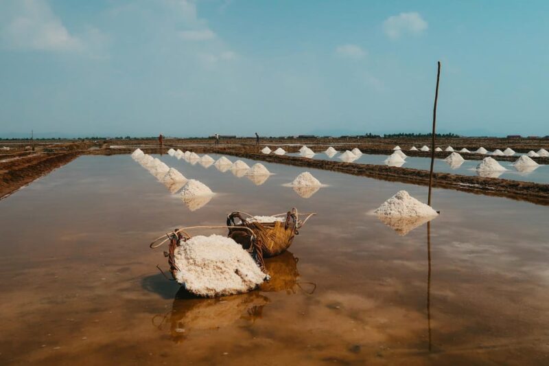 Kampot Day Trip to Pepper Farm, Temple/Market and Salt Field - Itinerary Highlights