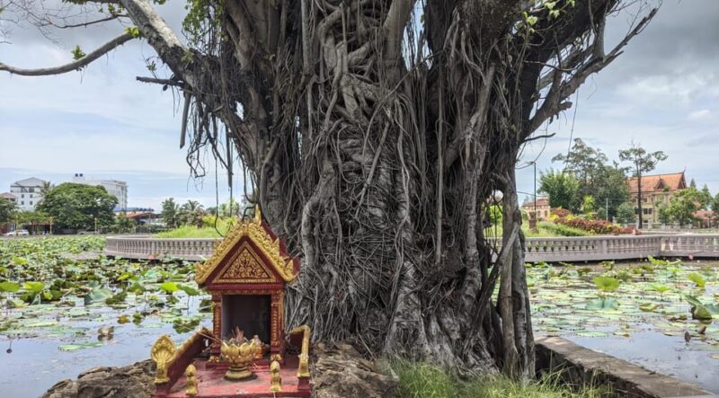 Kampot: Free Walking Tour - Getting to the Starting Point