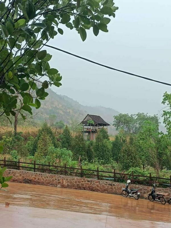 Kampot: Full-day Countryside Tour with Pepper Farm and Kep - Why This Tour Is a Great Choice