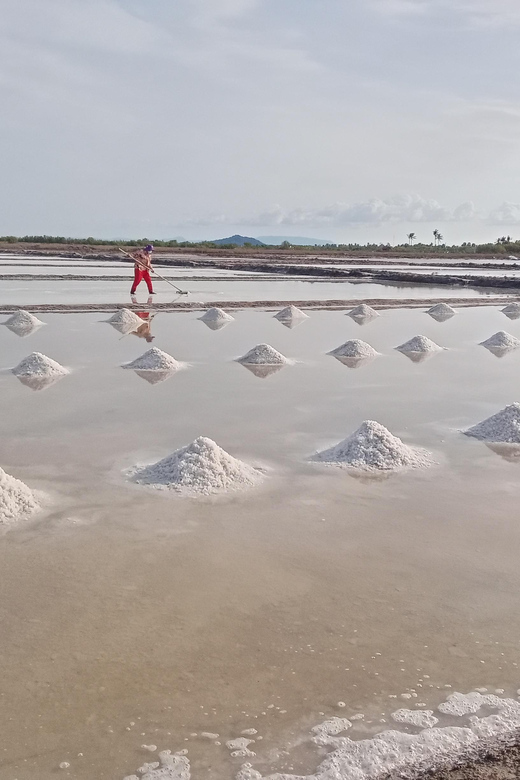 Kampot Half Day Tours (Country Side & Pepper Farm) - Whats Included