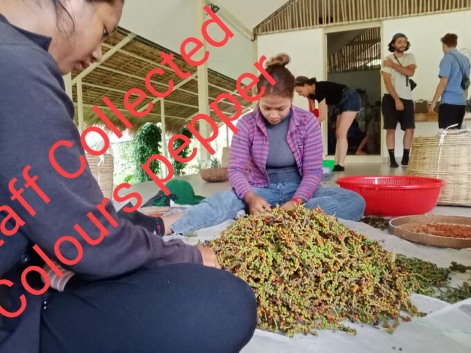 Kampot Half Day Tours ( Countryside Side & Pepper Farm) - Frequently Asked Questions