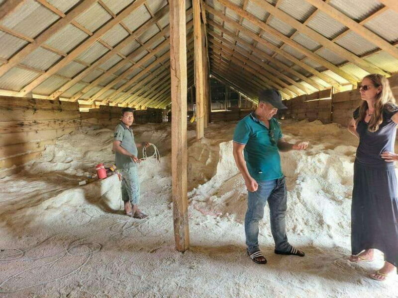 Kampot Pepper Farm, Salt Fields, Crab Market from Phnom Penh - Journey from Phnom Penh to Kampot: Setting the Scene