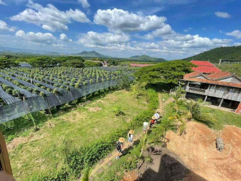 Kampot Pepper Farm, Salt Fields, Crab Market from Phnom Penh - Who Should Consider This Tour?