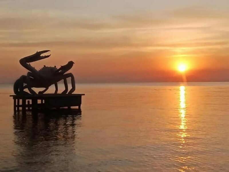 KAMPOT~ the kayak tour/pepper testing/Sunset on time & more - Key Points