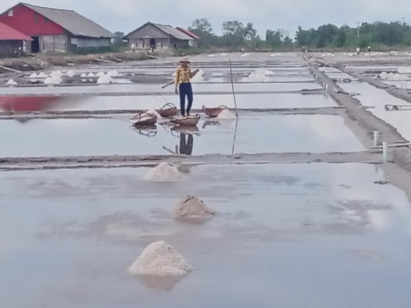Kampot Travel. Pepper Farm.Secret Lake.Cave & Salt Field - Itinerary Highlights