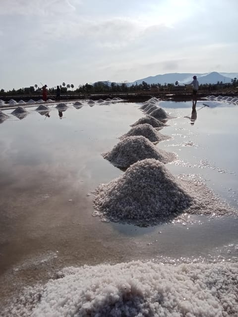 Kampot Travel. Pepper Farm.Secret Lake.Cave & Salt Field - La Plantation (Pepper Farm)