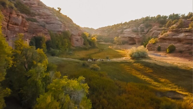 Kanab: Cave Lakes Canyon Horseback Riding Experience - Natural Beauty and Vistas