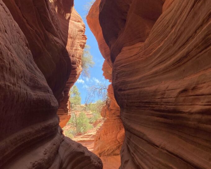 Kanab: Peek-A-Boo and Great Chamber UTV Guided Tour - Customer Reviews