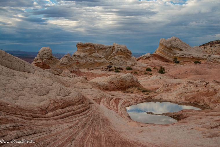 Kanab: White Pocket Hiking Tour in Vermilion Cliffs - Inclusions