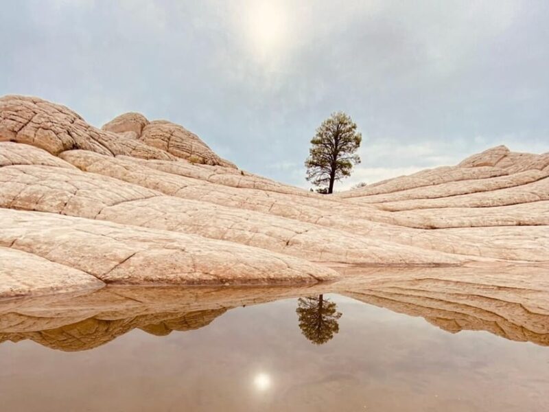 Kanab: White Pocket Rock Formation Tour - Exploring the Iconic "Brain Rock"