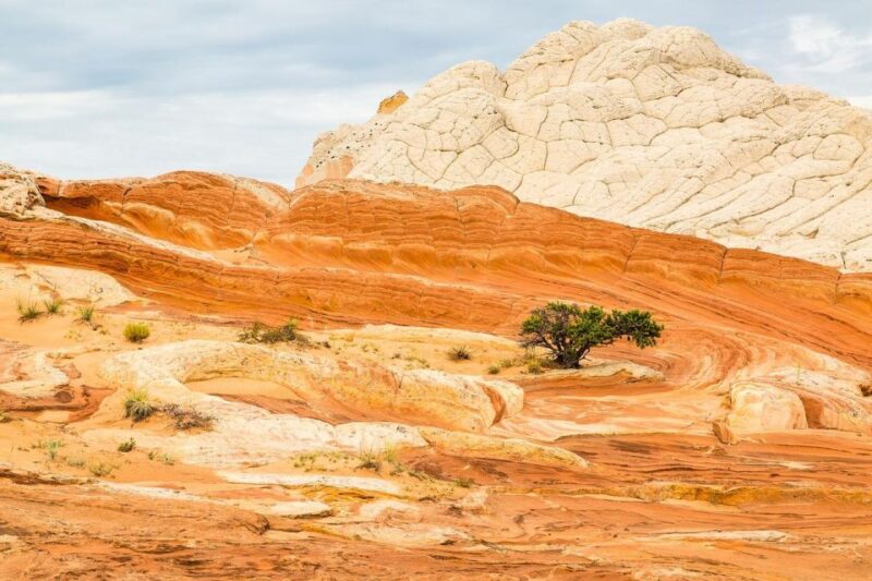 Kanab: White Pocket Tour & Hike - Activity Highlights