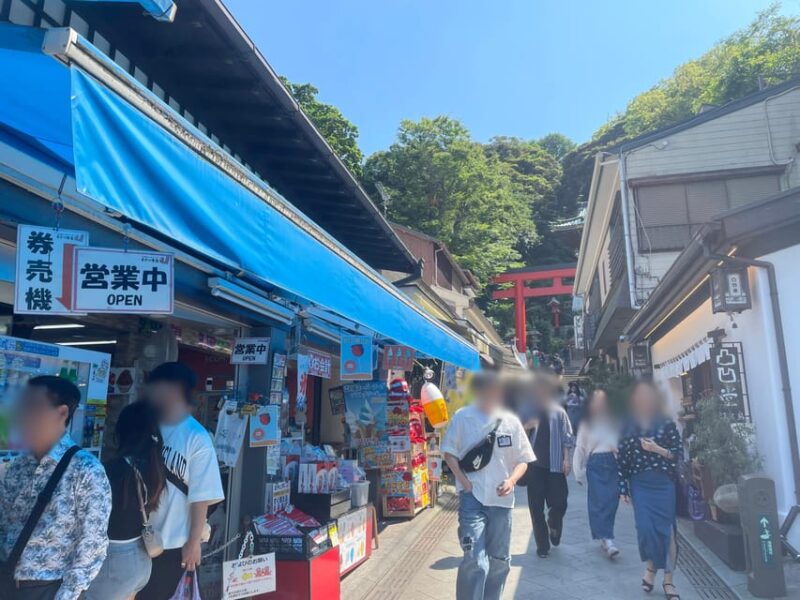 Kanagawa: Shopping & Temple Visit Tour in Enoshima Island - Booking Information