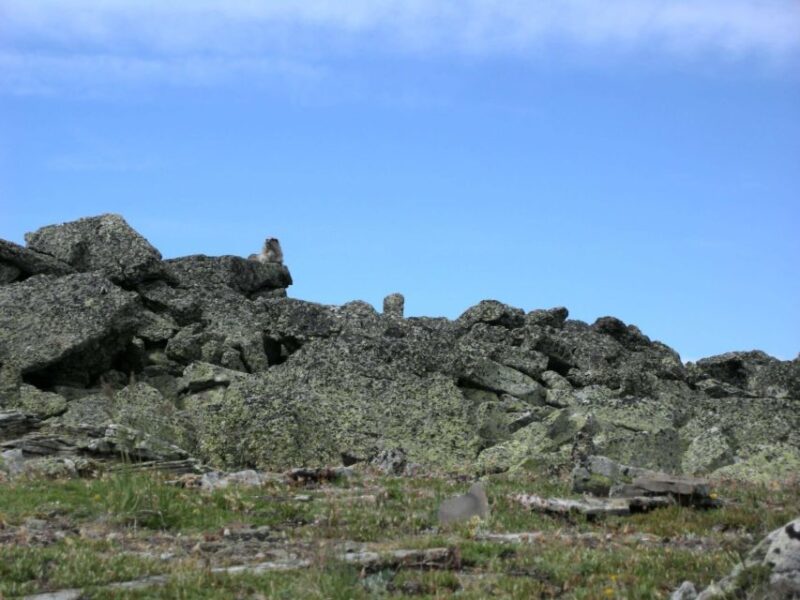 Kananaskis Country: Day Hike - Scenic Rocky Vistas
