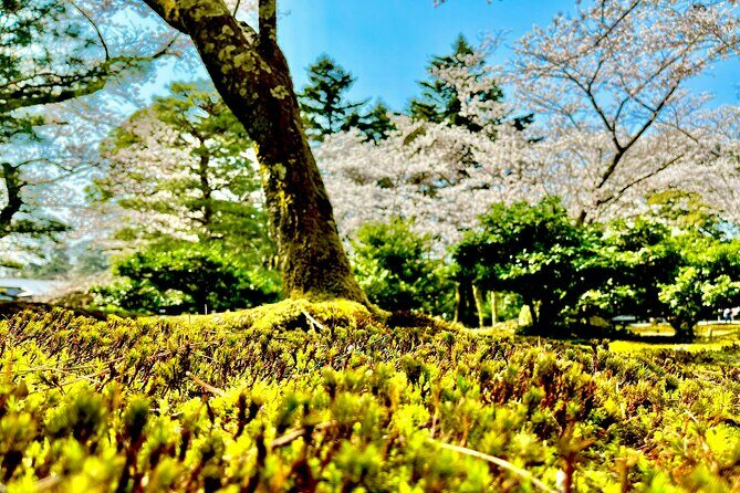 Kanazawa Full Day Private Tour to Top Highlights with Local Guide - Why This Tour Stands Out