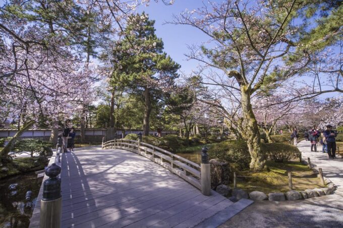 Kanazawa: Highlights Private 6-Hour Tour - Booking Considerations