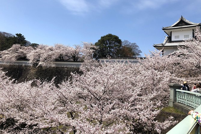 Kanazawa Highlights Tour Including Kenrokuen Garden - Omicho Market Discover