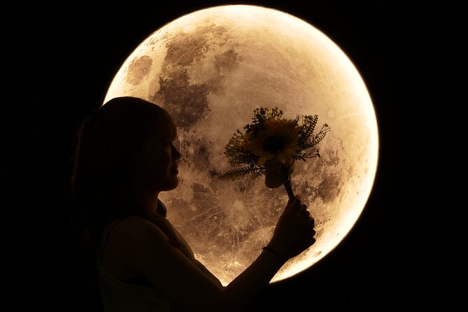 Kanazawa: Moon Plan Selfie Photo Experience With Rental Kimono - Accessibility and Participation