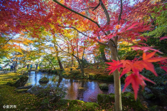 Kanazawa: Nostalgic Shirakawa-go & Kanazawa Tour - Departure and Duration