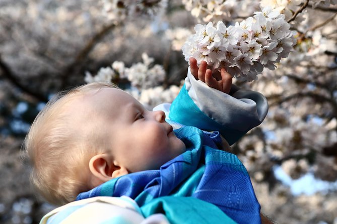 Kanazawa Private 1 Day Photoshoot by Professional Photographer - Edited Digital Images