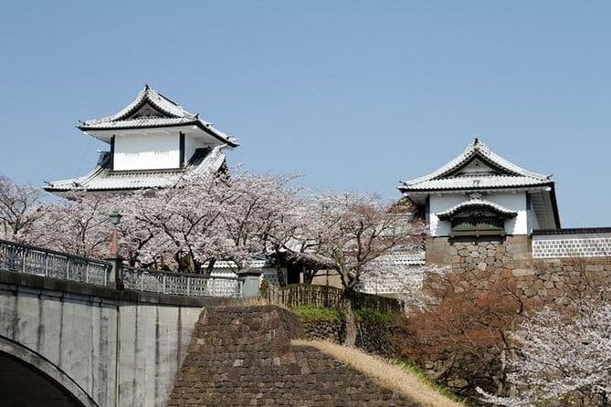 Kanazawa Private 3 Hour Bar Hopping Tour With Local Guide - Dining and Drinking Options