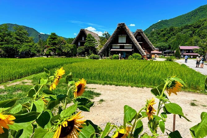 Kanazawa Private 3 Hour Bar Hopping Tour With Local Guide - Why Book the Kanazawa Private 3 Hour Bar Hopping Tour