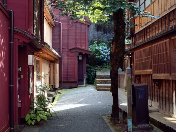 Kanazawa: Samurai, Matcha, Gardens and Geisha Full-Day Tour - Practical Information and Pricing