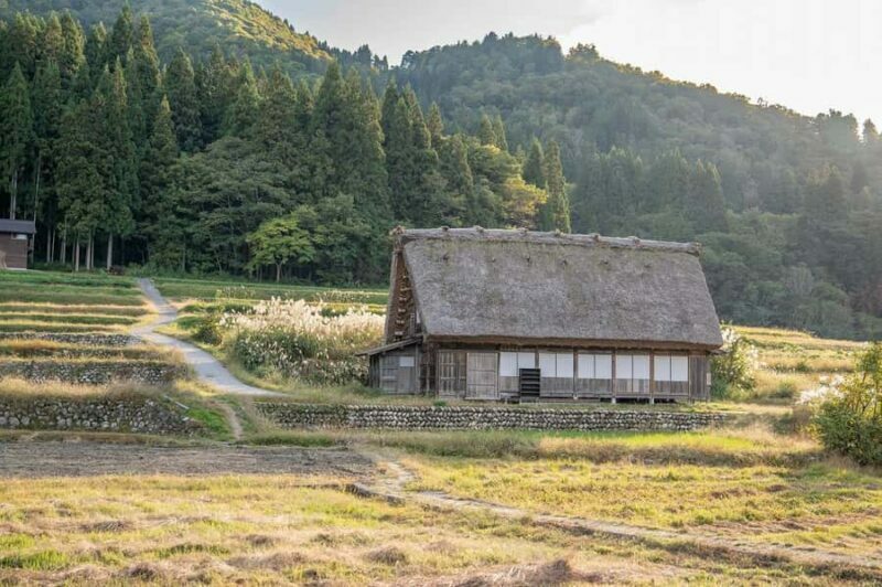 Kanazawa: Shirakawa-go & Metal-Casting Private Day Trip - An In-Depth Look at the Tour Experience